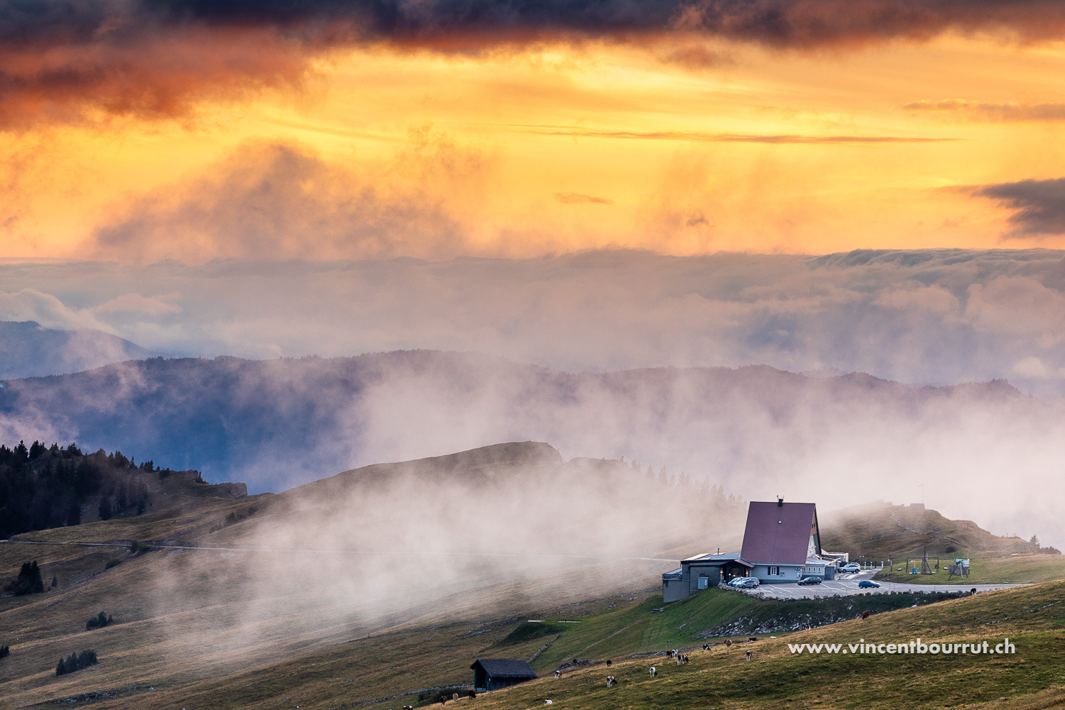 WhatsApp Bild 2025-04-01 um 16.13.42_a13c6eac