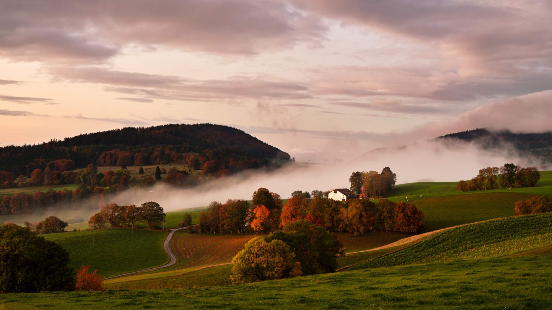 11_DSF0221 11_DSF0221