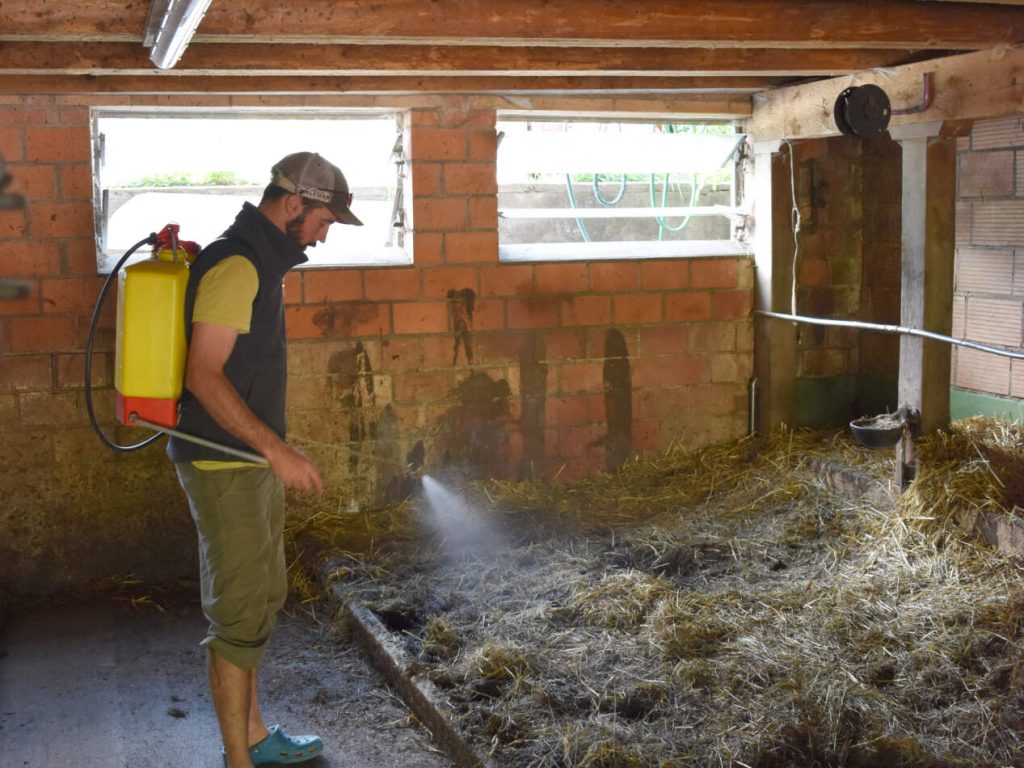 EM_Stefan_Roth_Ecurie_1