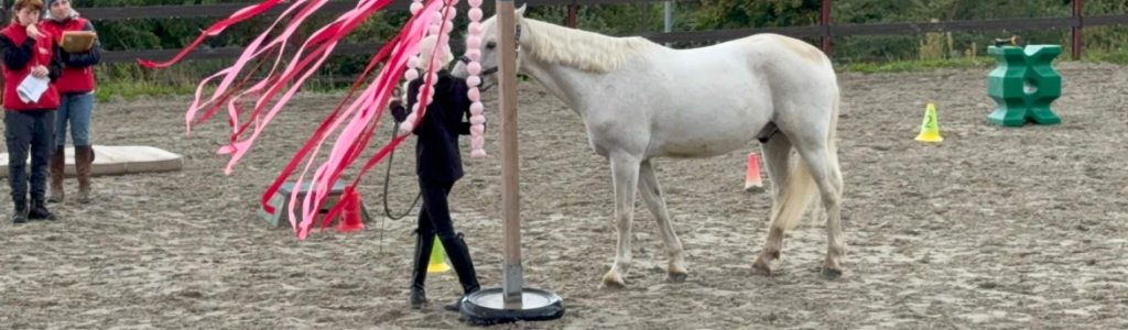 Horseathlon2025_2
