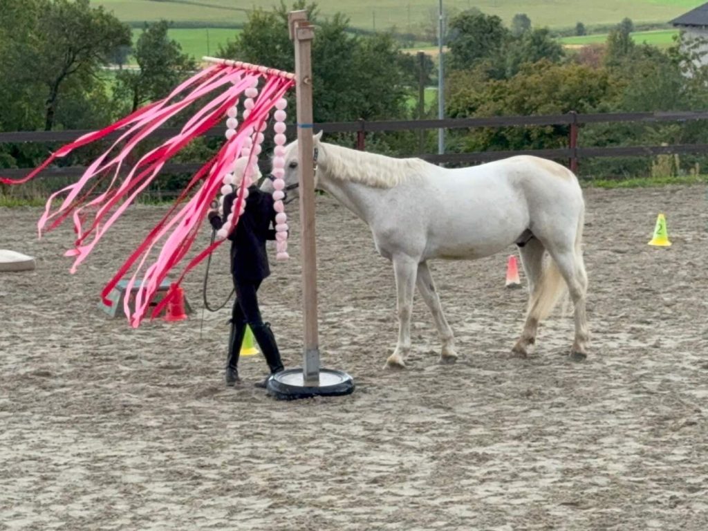 Horseathlon2025_2