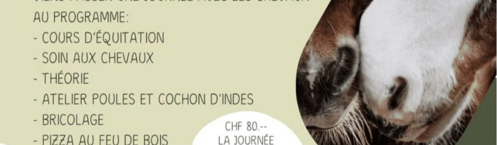JourneeStageCheval