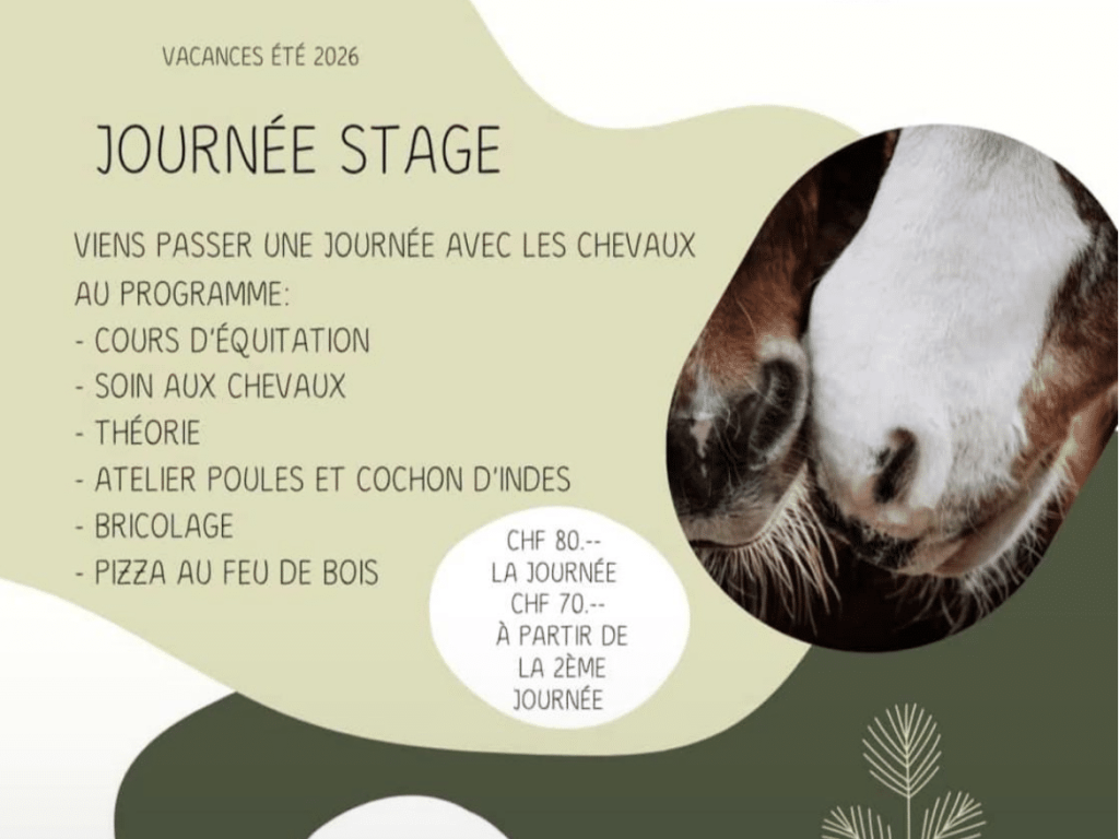 JourneeStageCheval