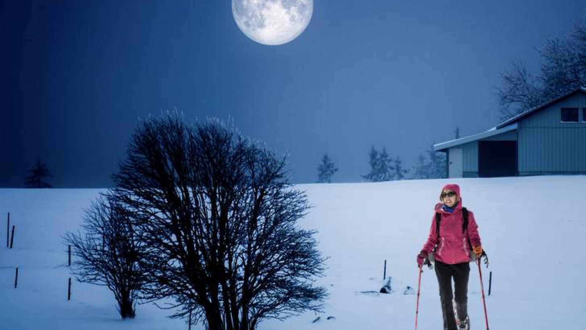 Screenshot 2025-11-07 at 15.20.54