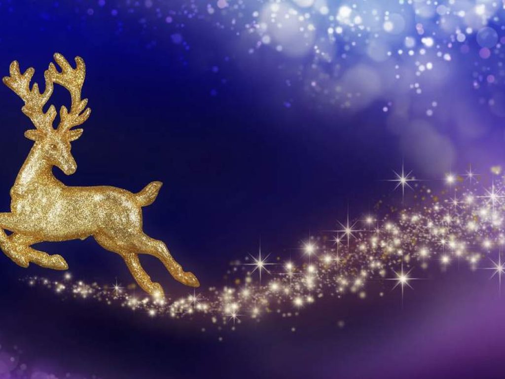 Screenshot-2025-11-20-at-13.31.10