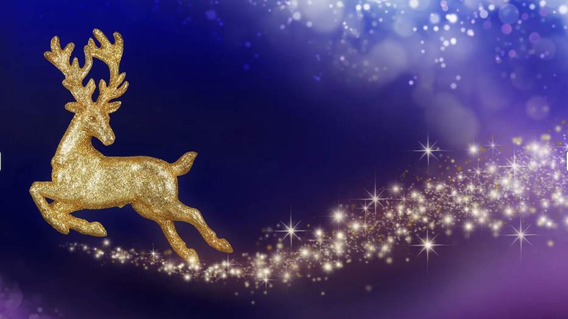 Screenshot-2025-11-20-at-13.31.10