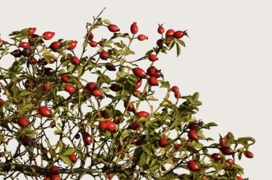 Screenshot 2025-12-08 at 09.27.32