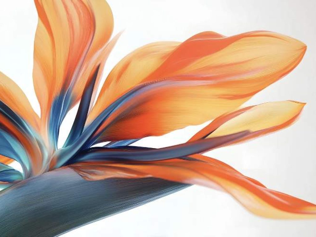 Screenshot-2026-01-19-at-10.27.34