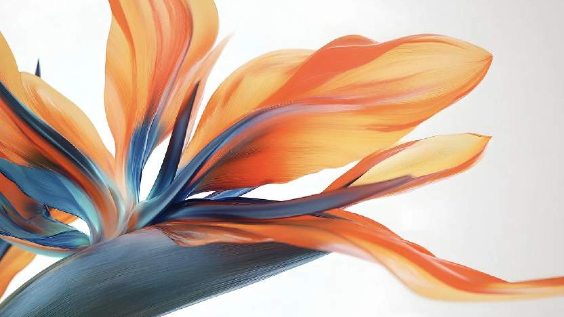 Screenshot-2026-01-19-at-10.27.34