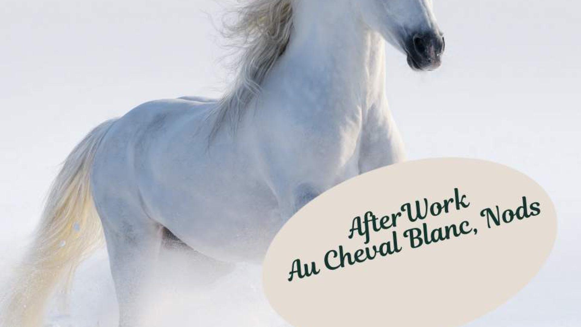 Screenshot-2026-01-28-at-15.48.40