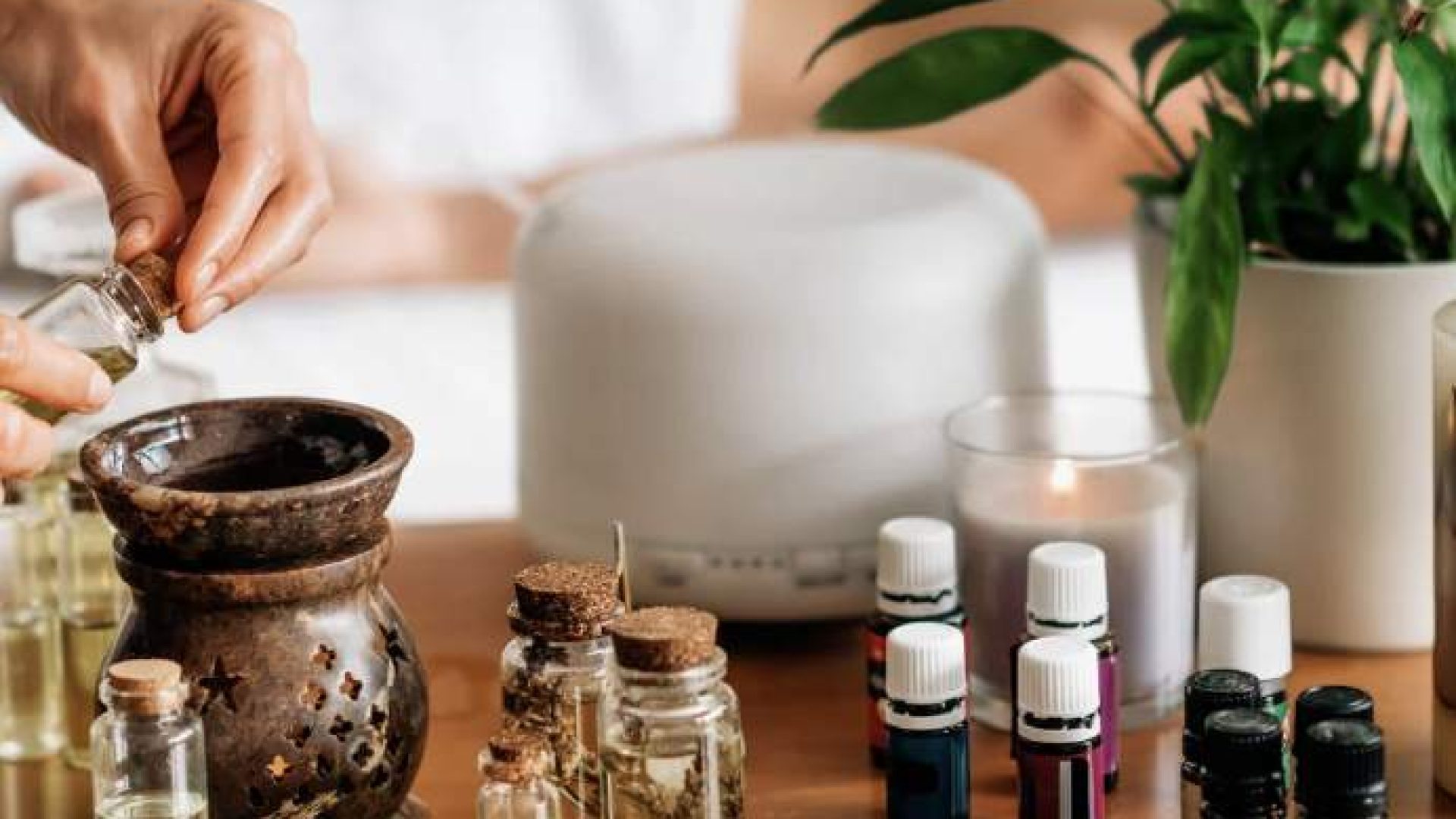 Screenshot-2026-02-16-at-07.45.08