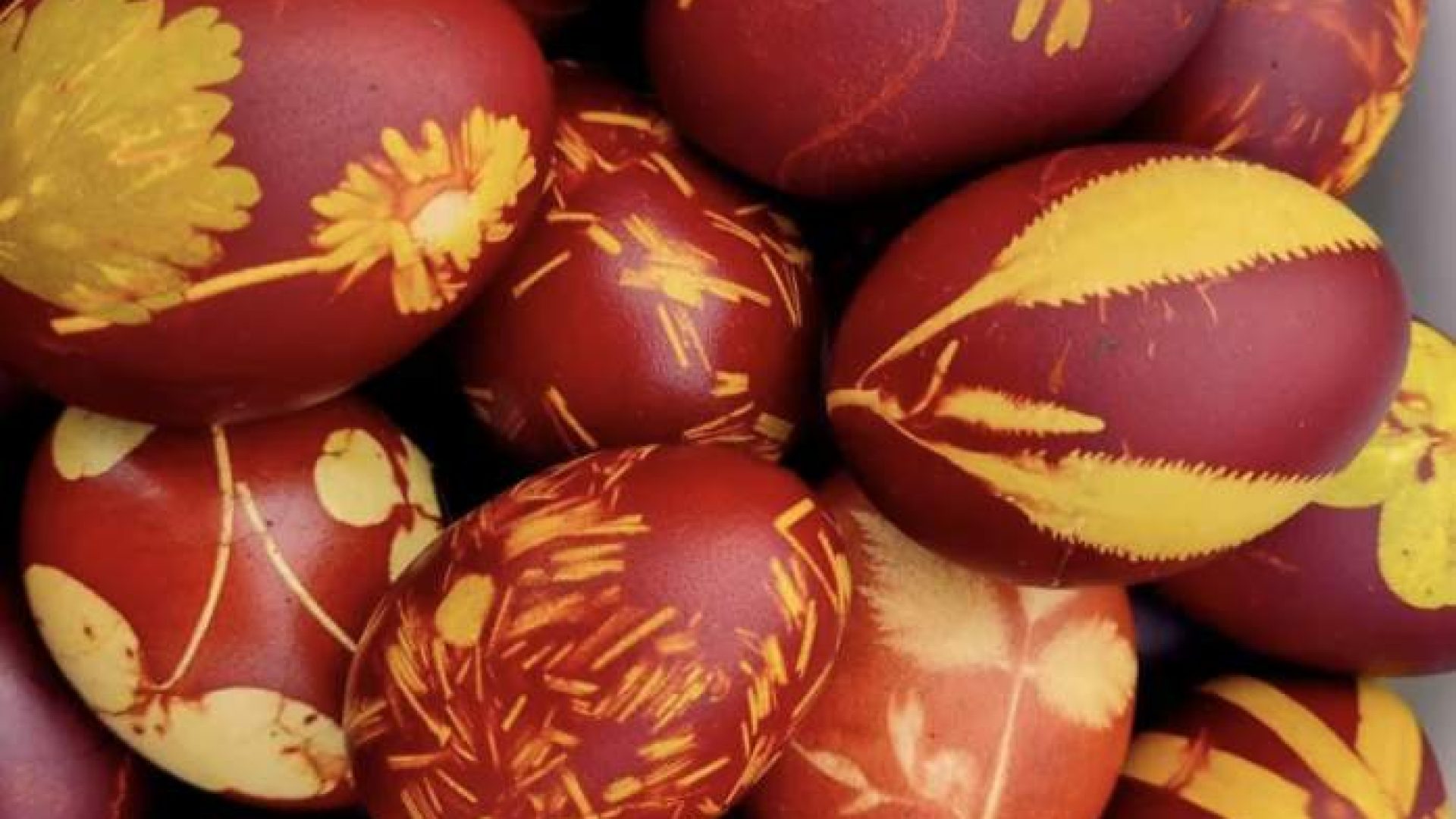 Screenshot-2026-02-20-at-09.39.22