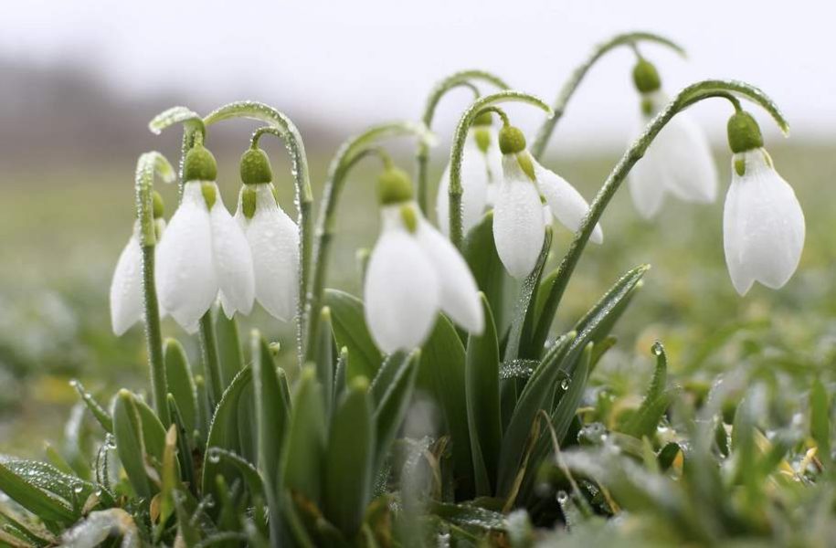 Screenshot 2026-03-02 at 10.00.35