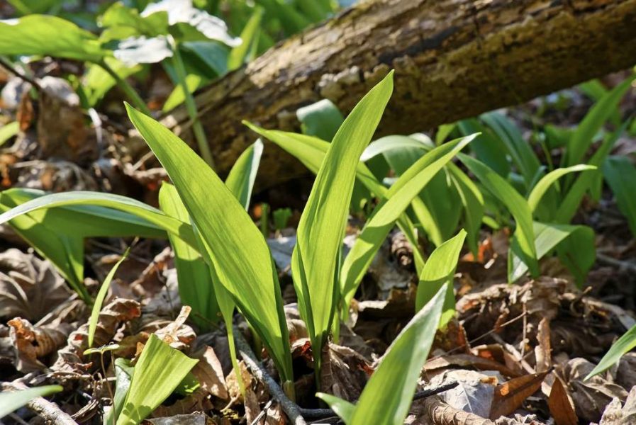 Screenshot 2026-03-16 at 09.26.33