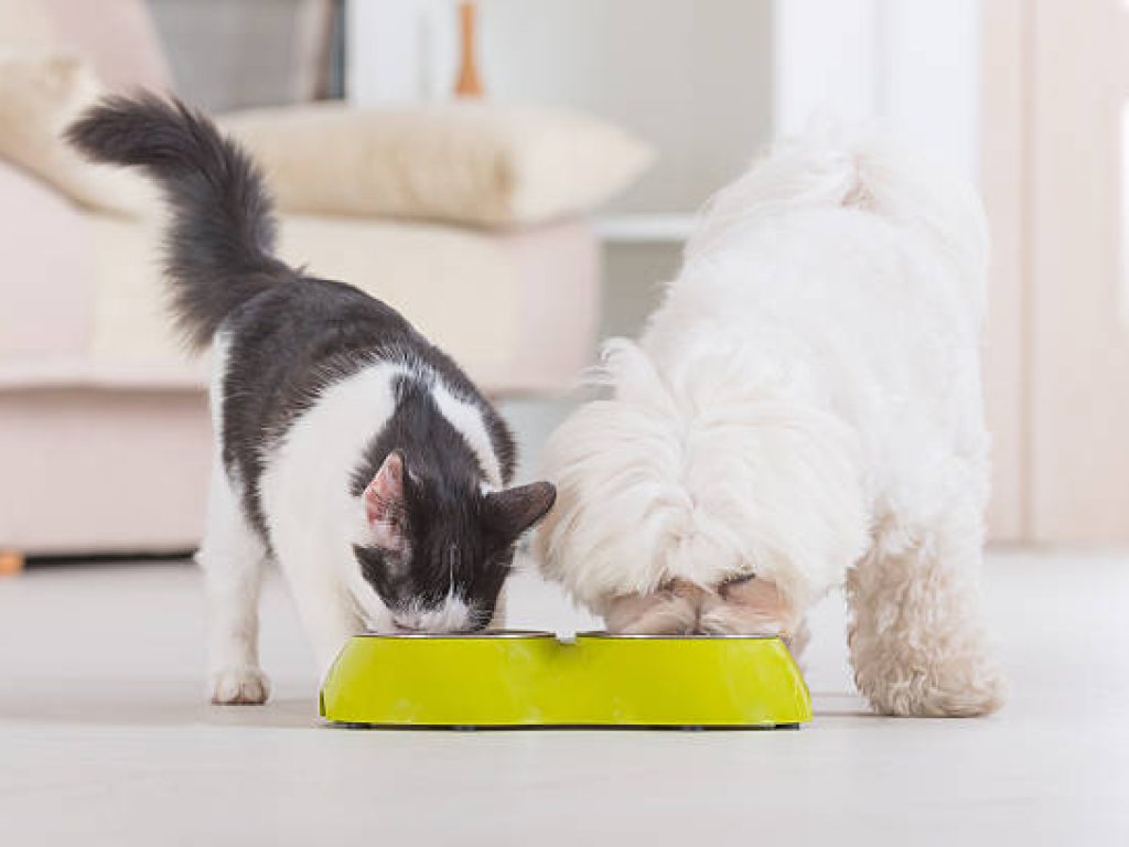 istockphoto-523971153-612x612-2